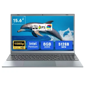 15.6 Inch Laptop 8GB RAM 256GB SSD Windows 11